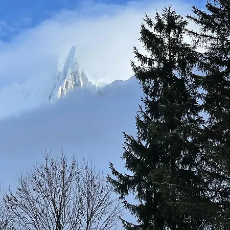 Atmosphere Center Large T3 Lejlighed